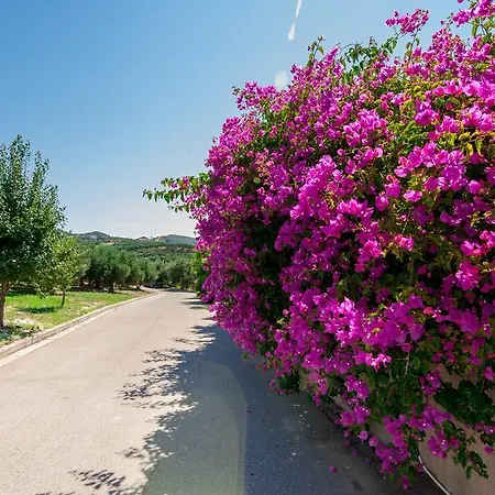 Prigipessa Agia Marina (Crete)
